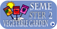 vegetable garden 2013