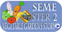 vegetable garden 2013 story